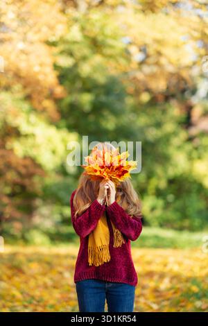 Eine Frau in einem burgunderroten Pullover hält einen Strauß Ahornblätter in einem Herbstpark. Es ist ein sonniger Herbsttag Stockfoto