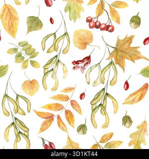 Herbstlaub und Beerenernte Aquarellmuster auf isoliertem Hintergrund. Ahorn, Eiche, Acer, Eschenblatt, rowan und Berberitze verziert. Stockfoto