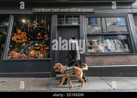 Magic, ein sieben Monate alter Golden Retriever Cross Labrador Welpe, besucht die Shambles in York mit dem ehrenamtlichen Welpen Raiser Nadine Field, als Teil eines speziellen Trainingstages mit Begleithunden, um an Halloween Vertrauen in geschäftigen Straßen, Kostümen und Dekorationen aufzubauen. Ausgabedatum: Mittwoch, 29. Oktober 2025. Stockfoto