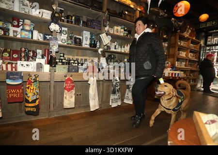 Magic, ein sieben Monate alter Golden Retriever Cross Labrador Welpe, besucht die Shambles in York mit dem ehrenamtlichen Welpen Raiser Nadine Field, als Teil eines speziellen Trainingstages mit Begleithunden, um an Halloween Vertrauen in geschäftigen Straßen, Kostümen und Dekorationen aufzubauen. Ausgabedatum: Mittwoch, 29. Oktober 2025. Stockfoto