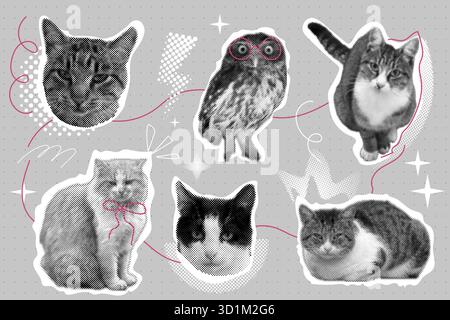 Collage-Sticker-Set für Katzen, trendiges y2k-Retro-Haustier, funkiges Emoticon-Tier, Pop-Ästhetik. MEME-Kopf mit Sprachblase. Lustiges Kätzchen. Vektorabbildung Stock Vektor