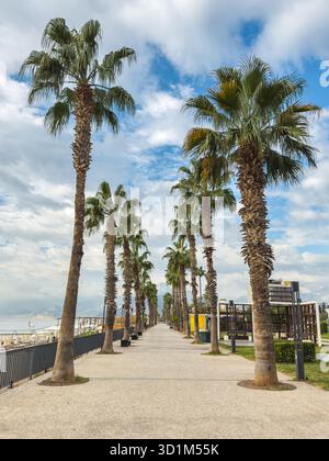 Palmen gesäumter Fußgängerweg entlang des Konyaalti Strandes in Antalya, Türkei Stockfoto