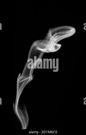 Nahaufnahme von weißem Wasserdampf mit Spray aus dem Luftbefeuchter. Isoliert auf schwarzem Hintergrund. Dampfrauch auf schwarzem Hintergrund. Weißer Fantasy-Rauch Stockfoto