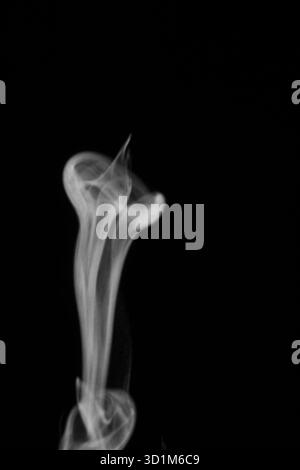 Nahaufnahme von Weißwasserdampf mit Sprühnebel aus dem Luftbefeuchter. Isoliert auf schwarzem Hintergrund. Dampfrauch auf schwarzem Hintergrund. Weißer Fantasy-Rauch. Stockfoto