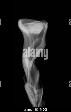 Nahaufnahme von Weißwasserdampf mit Sprühnebel aus dem Luftbefeuchter. Isoliert auf schwarzem Hintergrund. Dampfrauch auf schwarzem Hintergrund. Weißer Fantasy-Rauch. Stockfoto