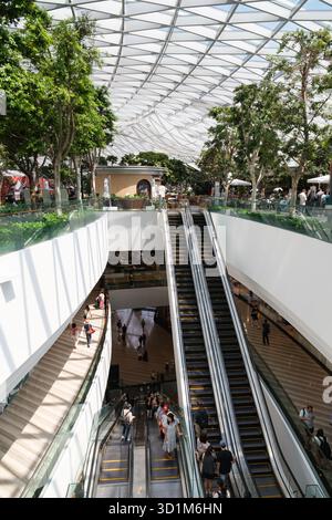 Der Flughafen Changi verfügt über ein modernes architektonisches Design mit Rolltreppen, üppigem Grün und einem geräumigen Atrium, das mit Reisenden und Tageslicht gefüllt ist. Stockfoto