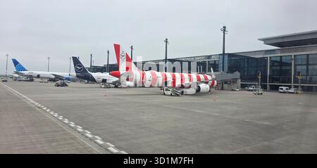Berlin, Deutschland 25. April 2025: Am Flughafenterminal stehen Flugzeuge mit moderner Architektur und bewölktem Himmel. Stockfoto