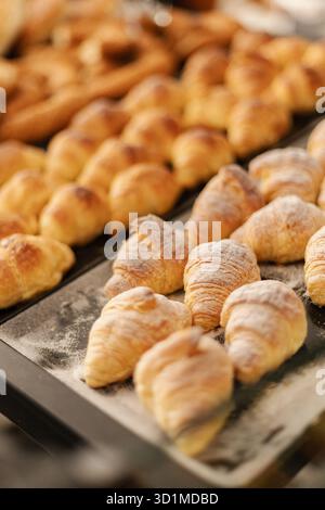 In einer warmen Bäckerei werden verschiedene goldene Croissants und Gebäck ordentlich angeordnet. Das frische Aroma von Backwaren erfüllt die Luft, einladend Stockfoto