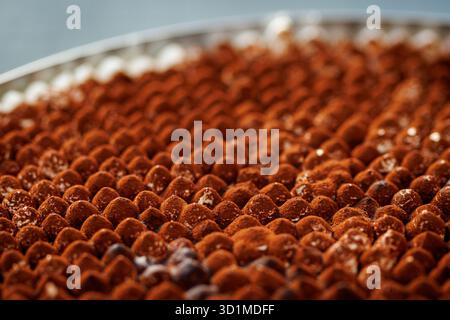 Detaillierte Nahaufnahme der Oberfläche des Tiramisu-Desserts mit feiner Kakaopulver-Textur. Stockfoto