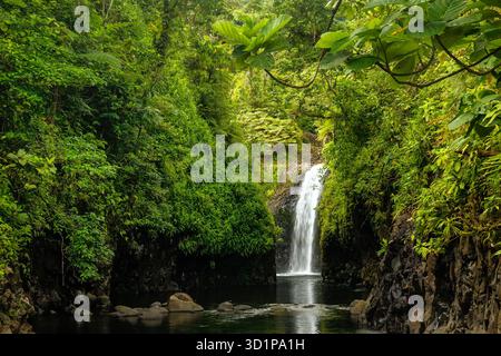 Wainibau Wasserfall am Ende des Lavena Küstenwegs auf der Insel Taveuni, Fidschi Stockfoto