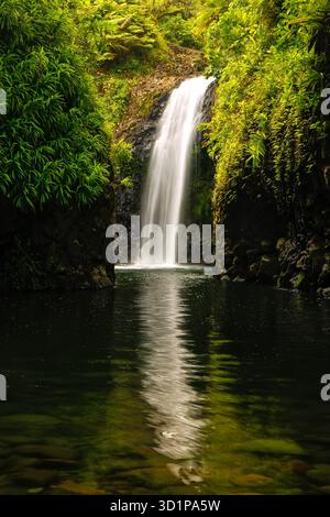 Wainibau Wasserfall am Ende des Lavena Küstenwegs auf der Insel Taveuni, Fidschi Stockfoto