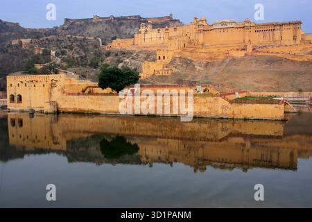 Amber Fort widerspiegelt im Maota See in der Nähe von Jaipur, Rajasthan, Indien. Amber Fort ist die wichtigste touristische Attraktion in der Umgebung von Jaipur. Stockfoto