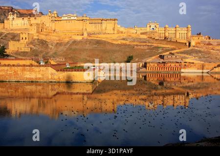 Amber Fort widerspiegelt im Maota See in der Nähe von Jaipur, Rajasthan, Indien. Amber Fort ist die wichtigste touristische Attraktion in der Umgebung von Jaipur. Stockfoto