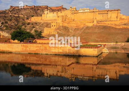 Amber Fort widerspiegelt im Maota See in der Nähe von Jaipur, Rajasthan, Indien. Amber Fort ist die wichtigste touristische Attraktion in der Umgebung von Jaipur. Stockfoto