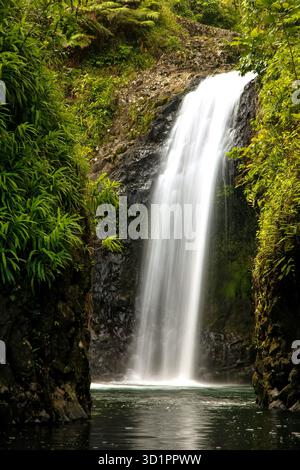 Wainibau Wasserfall am Ende des Lavena Küstenwegs auf der Insel Taveuni, Fidschi Stockfoto