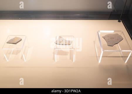 XiaPu Fujian China-14. August 2025: Geologische Gesteinsproben im XiaPu Museum. Stockfoto