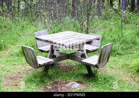 Holztisch im Wald im Ruhebereich Stockfoto