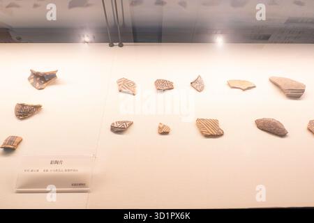 XiaPu Fujian China-14. August 2025: Gemalte Keramikscherbe im XiaPu Museum. Stockfoto
