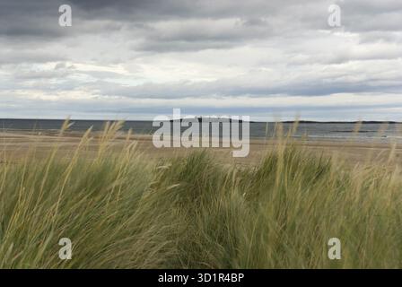 St. Aidans Dunes, Northumberland Küste, Großbritannien Stockfoto