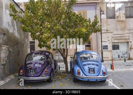 Larnaca, Zypern - 8. Februar 2022: Ein Puplle und ein blau wunderschön gepflegt Chrom lackiert klassischen Volkswagen Beatle Autos in einem Straßenpark geparkt U Stockfoto