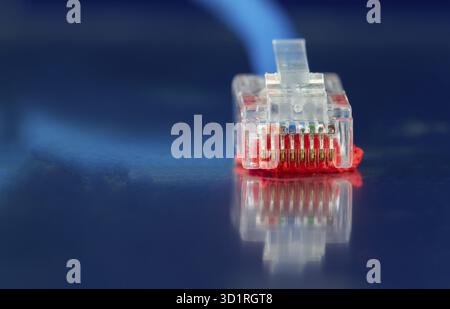LAN-Ethernet-Netzwerkkabel isoliert auf einem blauen Hintergrund Nahaufnahme Stockfoto