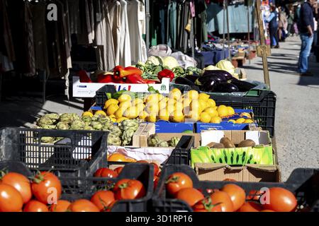 Guadix, Granada - Spanien - 24.01.2024: Ein Freiluftmarkt mit frischem Gemüse und Obst wie Tomaten, Zitronen und Artischocken Stockfoto