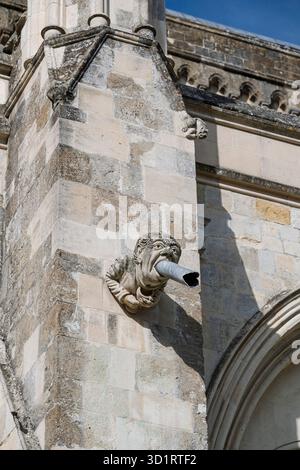 Geschnitzte Steinfigur, die an der historischen Kathedrale gemeißelt wurde, Ablaufrohr. Stockfoto