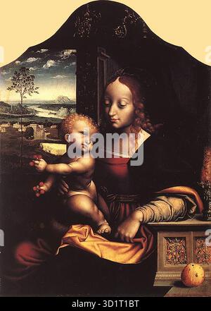 CLEVE, Joos van (* 1485, Antwerpen, d. 1540, Antwerpen) Jungfrau und Kind ca. 1535 Holz, 75,5 x 54,5 cm Landesmuseum, Oldenburg Joos van Cleve war zusammen mit Gossaert und Heemskerck eine führende Figur unter den Romanisten – den Künstlern, die den italienischen Klassizismus in die Niederlande einführten und zum endgültigen Niedergang der noch verbliebenen gotischen Tendenzen beitrugen. --- Schlüsselwörter: ----------------- Autor: CLEVE, Joos van Titel: Jungfrau und Kind Zeitlinie: 1501-1550 Schule: Flämische Form: Malerei Typ: Religiös Stockfoto