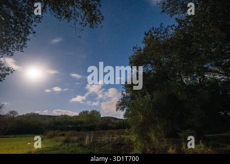 Ein dramatischer Weitwinkelblick bei Nacht mit Blick auf den hellen Mond, einen riesigen Sternenhimmel und eine große Silhouette von Olivenbäumen Stockfoto