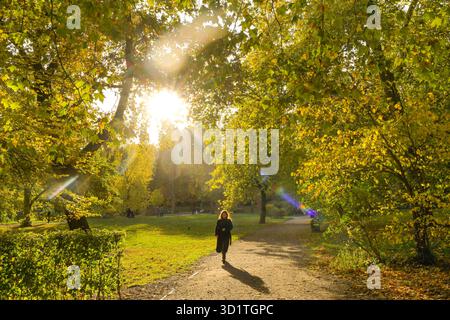 Herbst im Lietzenseepark, Charlottenburg, Berlin, Deutschland *** Herbst im Lietzensee Park, Charlottenburg, Berlin, Deutschland Stockfoto