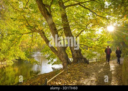 Herbst im Lietzenseepark, Charlottenburg, Berlin, Deutschland *** Herbst im Lietzensee Park, Charlottenburg, Berlin, Deutschland Stockfoto