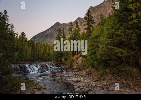 Im Glacier National Park, Montana, stürzt ein zerklüfteter Waldbach über einen felsigen Felsvorsprung unter hoch aufragenden Pinien und Bergen. Das Abendlicht wird weicher Stockfoto