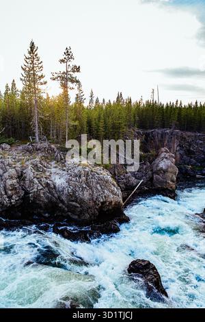 Der Bergbach fließt durch den felsigen Waldschlucht im Yellowstone National Park, umgeben von immergrünen und steilen Klippen in der abgelegenen Wildnis Stockfoto