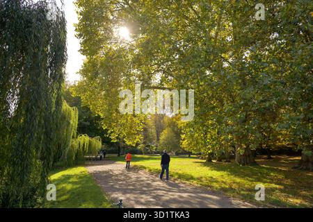 Herbst im Lietzenseepark, Charlottenburg, Berlin, Deutschland *** Herbst im Lietzensee Park, Charlottenburg, Berlin, Deutschland Stockfoto