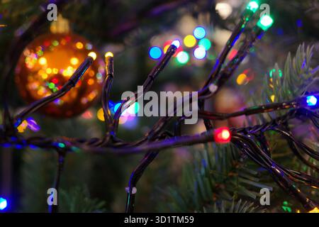Bunte Lichter sind um grüne Weihnachtsbaumzweige gewickelt. Die Lichter schaffen eine festliche Atmosphäre. Eine verschwommene, glänzende orangefarbene Kugel hängt drin Stockfoto