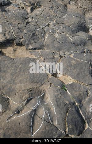 Dinosaurierspuren, die Peladillo-Ära-Ichnites-Deponie, Igea, La Rioja, Spanien, Europa Stockfoto