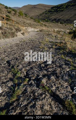 Dinosaurierspuren, Valdecevillo Site, Enciso, La Rioja, Spanien, Europa Stockfoto