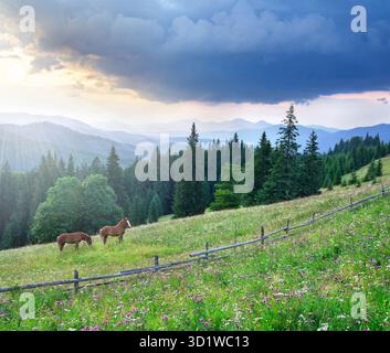 Wilde Pferde, die friedlich auf einer Bergwiese mit Wildblumen bei Sonnenuntergang in der Wildnis weiden. Freiheit und unberührte Natur Stockfoto