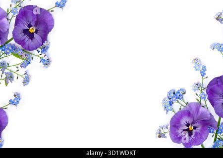 Blumen Viola Tricolor ( Stiefmütterchen ) und blaue Wildblumen Vergissmeinnots auf weißem Hintergrund mit Platz für Text. Draufsicht, flach Stockfoto