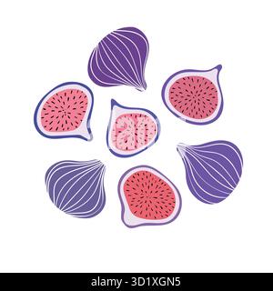 Tropisches Set mit violetten Feigen und Feigenscheiben. Handgezeichnete Fruchtfeige isoliert auf weißem Hintergrund. Für Stoff, Zeichenetiketten, Druck, Tapeten Stock Vektor