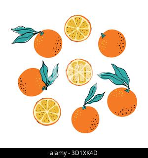 Tropische Orangen- und kreisrunde Orangenscheiben. Handgezeichnete Zitrusorange mit Blättern isoliert auf weißem Hintergrund. Für Gewebe, Zeichenetiketten Stock Vektor