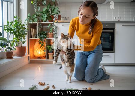 Haustierbesitzerin, die sich um faule fette Katze kümmert, die mit ihm Naturpflanzen spielt. Stockfoto