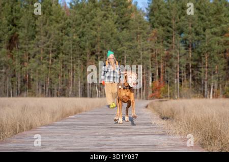 Hund läuft voraus Frau genießt die Natur auf dem Öko-Trail im skandinavischen Naturpark im Kiefernwald. Stockfoto