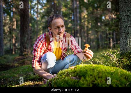 Mann pflückt Moospilze, während er im Wald spaziert. Amateur-Pilzpflücker sammelt frische Pilze. Stockfoto