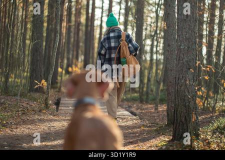 Frau geht mit Hund und genießt Natur auf ökologischem Weg im skandinavischen Naturpark im Wald. Stockfoto