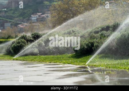 Automatische Sprinkleranlage zur Bewässerung des Rasens Bewässerung von Pflanzen in öffentlichen Parks und im Stadtzentrum. Stockfoto