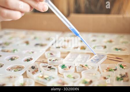 Mit Präzisionswerkzeugen und diversen Exemplaren von Insekten inspirierte Harzkunst Stockfoto