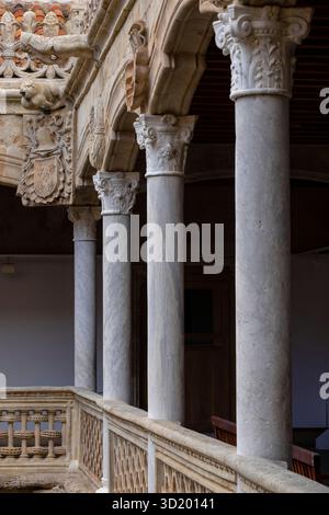 Innenhof des Hauses der Muscheln (Casa de las Conchas) Stockfoto