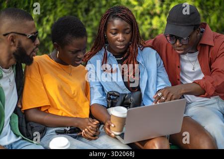 Afroamerikanische multirassische Studenten recherchieren über Laptop, diskutieren Projekt, digitale Nomade im Park Stockfoto