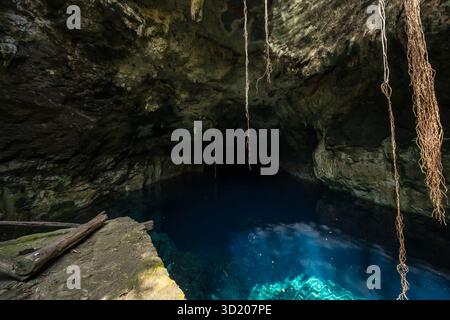 Blick auf Eine wunderschöne Cenote in der Nähe von Cuzama, Yucatan, Mexiko Stockfoto
